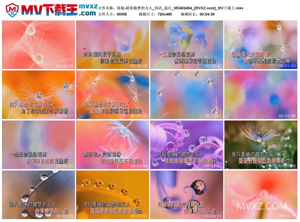 徐婧-陪你做梦的女人_国语_流行_MD402454